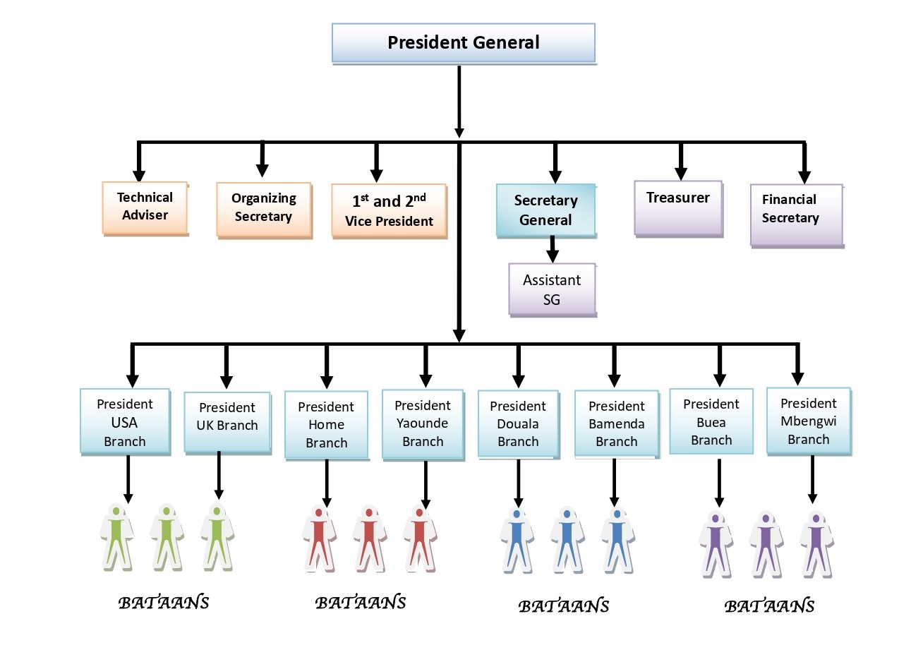 Organigramme